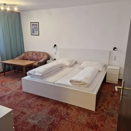 Отель Waldhorn 3*