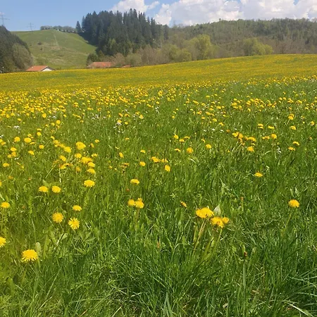 Waldhorn ホテル ユングホルツ