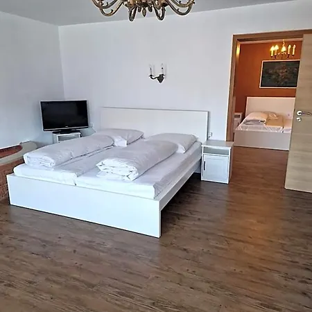 Hotel Waldhorn 3*